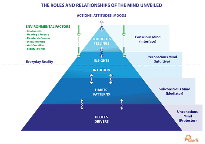 THE ROLES AND RELATIONSHIPS OF THE MIND UNVEILED THE ROLES AND RELATIONSHIPS OF THE MIND UNVEILED