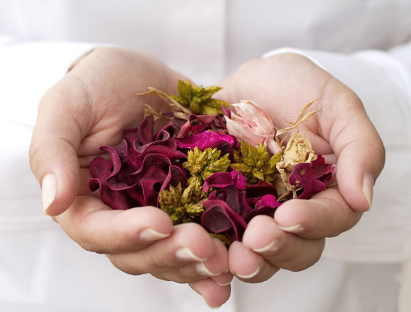 THE POWER OF THANK YOU